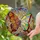 Vibrant Stained Glass Butterfly Tiffany Style Floral Mosaic Botanical Window Decor Stained Glass Suncatcher - 2