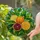Tiffany Glass Citrus Fruits - Orange, Lemon, Blood Orange Slices & Green Foliage Stained Glass Suncatcher - 2