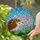 Intricate Hedgehog Stained Glass Art with Flowers & Mosaic Sky - Tiffany Jewel Tones Stained Glass Suncatcher - 2