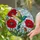 Hummingbird Red Poppy Flowers - Tiffany Glass Style with Jewel Tone Mosaic Sky Stained Glass Suncatcher - 2