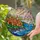 Coastal Village Stained Glass Art with Sea Cliffs, Blossoms & Cypress Trees Tiffany Style Stained Glass Suncatcher - 2