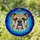 English Bulldog Stained Glass Tiffany Art Portrait Mosaic - Detailed Pet Lover Gift Stained Glass Suncatcher - 1