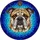 English Bulldog Stained Glass Tiffany Art Portrait Mosaic - Detailed Pet Lover Gift Stained Glass Suncatcher - 5