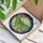 Luna Moth Crescent Moon Pink Dogwood Flowers - Glowing Translucent Intricate Jewel Tones Stained Glass Suncatcher - 3