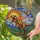 Roaring Tyrannosaurus Rex Stained Glass with Prehistoric Plants, Pterodactyl, Tiffany Style Stained Glass Suncatcher - 2
