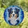 Tricolor Australian Shepherd Dog Stained Glass Mosaic - Expressive Aussie Lover Gift Stained Glass Suncatcher - 1