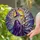 Wise Old Wizard Purple Hat Glowing Staff Stained Glass Mosaic Art Translucent Jewel Tones Stained Glass Suncatcher - 2