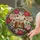Glowing Tawny Brown Owls Pink Peony Flowers Dappled Light Tiffany Glass Mosaic Stained Glass Suncatcher - 2