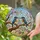 Two Kingfisher Birds Cherry Blossoms Tree Branch Tiffany Stained Glass Mosaic Art Stained Glass Suncatcher - 2