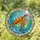 Mosaic Sea Turtle Stained Glass Ocean Seashells - Tiffany Glass Window Decor Art Stained Glass Suncatcher - 1