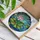 Vibrant Green Frog Orange Eyes Lily Pad Pink Lotus Aquatic Mosaic - Tiffany Style Glass Art Stained Glass Suncatcher - 3