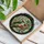 Vibrant Woodpecker Bird Red Berries Green Leaves Tree Branch Tiffany Stained Glass Art Stained Glass Suncatcher - 3