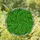 Stained Glass Fern Fronds - Tiffany Style Emerald Green Mosaic Intricate Nature Leaf Stained Glass Suncatcher - 1