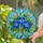 Tiffany Style Blue Roses Stained Glass Mosaic Art - Intricate Floral Design Stained Glass Suncatcher - 2