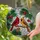 Male Female Cardinals Pine Branch Berries Pinecone - Tiffany Style Nature Gift Home Decor Stained Glass Suncatcher - 2