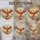 Majestic Phoenix Stained Glass Mosaic Suncatcher - Tiffany Style Art Window Decor Gift for Mom Stained Glass Suncatcher - 4