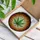 Multi-Lobed Cannabis Leaf Stained Glass Tiffany Style Mosaic Art Textured Glass Stained Glass Suncatcher - 3