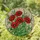 Red Poppies Tiffany Stained Glass Mosaic Flower Art with Lush Green Foliage & Buds Stained Glass Suncatcher - 1