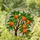 Orange Tree Stained Glass - Jewel Tones Mosaic Oranges & Emerald Leaves Garden Art Stained Glass Suncatcher - 1