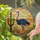 Majestic Ostrich Stained Glass Desert Landscape Saguaro Cactus Succulents Sand Dunes Stained Glass Suncatcher - 2