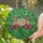 Ranunculus Flowers Stained Glass Mosaic - Tiffany Style Jewel Tone Botanical Art Decor Gift Stained Glass Suncatcher - 2