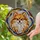 Fluffy Pomeranian Dog Stained Glass Tiffany Style Abstract Mosaic Art - Pet Lover Gift Stained Glass Suncatcher - 2