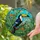 Majestic Toucan Bird of Paradise Flower - Tiffany Style Tropical Jewel Tone Jungle Art Stained Glass Suncatcher - 2