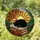 Black Cat Sleeping on Books Stained Glass Autumn Sun Window Decor for Cat Lovers Stained Glass Suncatcher - 1