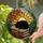 Black Cat Sleeping on Books Stained Glass Autumn Sun Window Decor for Cat Lovers Stained Glass Suncatcher - 2