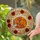 Sleeping Fox Curled Stained Glass Roses Golden Leaves Iridescent Mosaic Tiffany Style Gift Stained Glass Suncatcher - 2