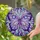 duiyfppz/products/69d72ff0b6e6df25713d398c/gallery/PJl0XAw-2t