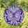 duiyfppz/products/69d72ff0b6e6df25713d398c/gallery/ROSZ_JL5SI