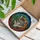 duiyfppz/products/69d7301b343cfa18c092bdae/gallery/Ci39JO0zkZ