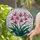 Stained Glass Orchid Flowers Pink Purple Fuchsia - Tiffany Style Mosaic Clear Glass Art Stained Glass Suncatcher - 2