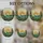 duiyfppz/products/69d7303fc7ee413126d04eb5/gallery/DKsza7vwKs