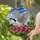 duiyfppz/products/69d73098c7ee41b9f9d050d5/gallery/xbFABKnx5H