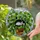 Black White Tuxedo Cat Sleeping Green Houseplant Brown Pot Tiffany Glass Mosaic Sky Stained Glass Suncatcher - 2
