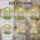 Tiffany Glass Dandelion Seed Heads, Green Leaves, Mosaic Sun Sky - Nature Window Decor Stained Glass Suncatcher - 4