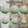 duiyfppz/products/69d73322c7ee41d6c3d05d39/gallery/lH1wl-LD2f