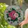 duiyfppz/products/69d7335fc7ee417fb4d05eba/gallery/YjR71Ohq7G