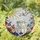 Stained Glass Grey Cream Cats Yellow Bird Sun - Glowing Tiffany Jewel Tone Mosaic Stained Glass Suncatcher - 1
