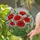 duiyfppz/products/69d73759343cfa45ee92db9b/gallery/mcJLAkx7u0