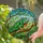 duiyfppz/products/69d73768b6e6dfc9bc3d5b67/gallery/vrJxQwWiS2