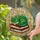 duiyfppz/products/69d7378cb6e6df69703d5ee5/gallery/tktg9NSOyb