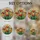 duiyfppz/products/69d73a3a343cfaf7e292ea51/gallery/b-Nsb4D5Oh