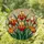 duiyfppz/products/69d73a3a343cfaf7e292ea51/gallery/k4jdIybI4X