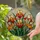 duiyfppz/products/69d73a3a343cfaf7e292ea51/gallery/rpmwXt1PXz