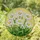 duiyfppz/products/69d73afab6e6dfca063d704b/gallery/R1cNmOfuU-
