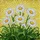 duiyfppz/products/69d73afab6e6dfca063d704b/gallery/ZNcrWDqO3b