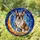 French Bulldog Molly Name Stained Glass Crescent Moon Starry Night Celestial Art Stained Glass Suncatcher - 1